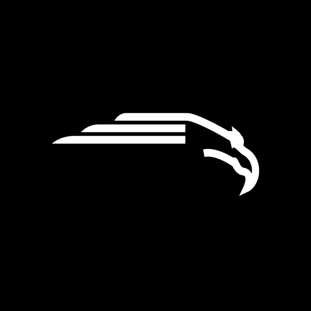 Logo FlyVanza
